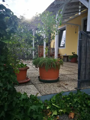 3-Zimmer-Haus mieten in Mödling – 129,12 m², € 1.960 – Bild 2 von 9