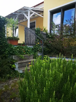 3-Zimmer-Haus mieten in Mödling – 129,12 m², € 1.960