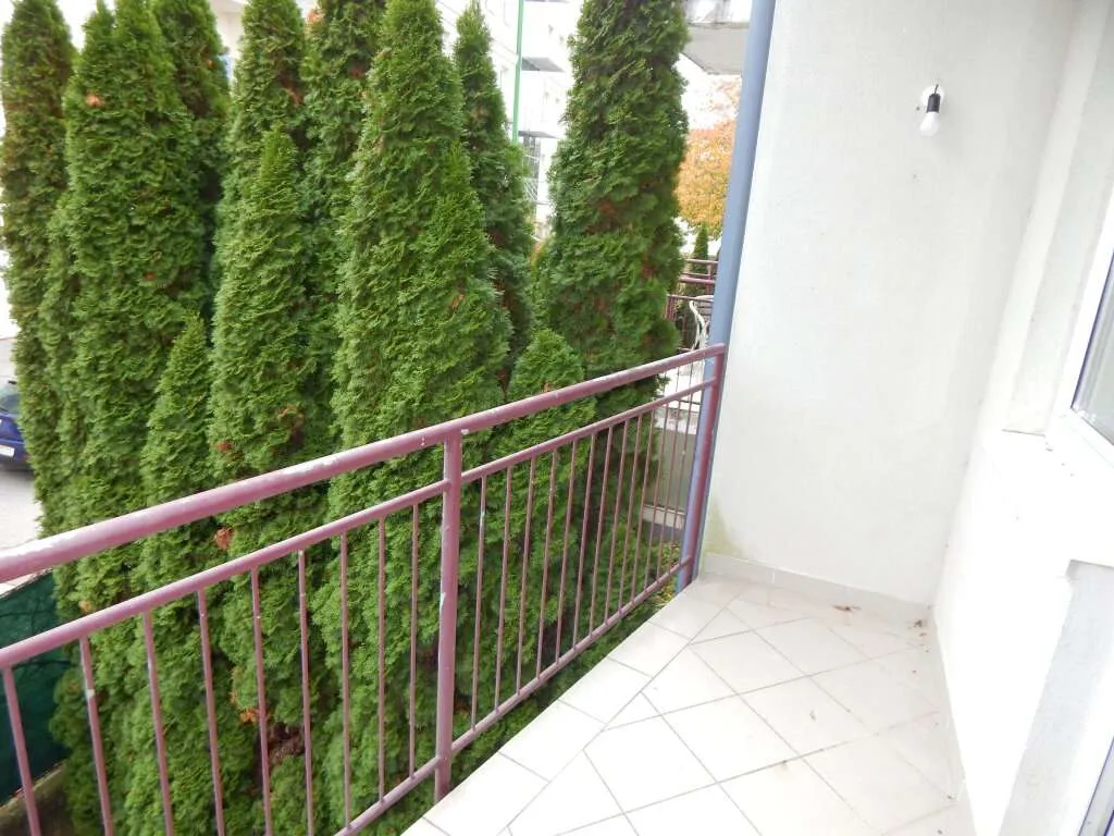 "PROVISIONSFREI" Helle und ruhige Terrassenwohnung mit Tiefgaragenplatz - Ansicht 2