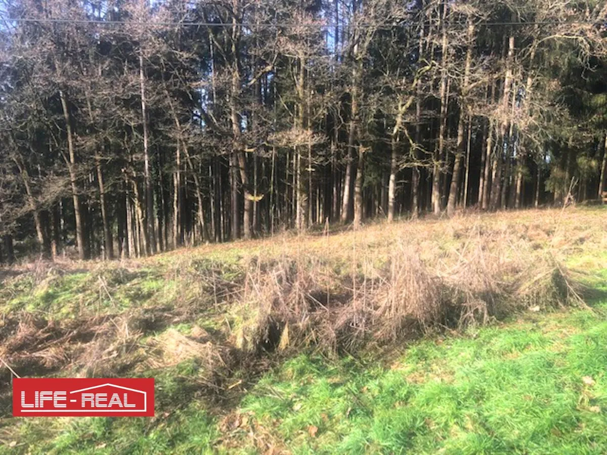 Am Wald grenzendes Baugrundstück - Ansicht 2