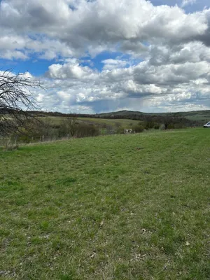 Grundstück kaufen in Neusiedl am See – 4 685 m², € 69.000 – Bild 14 von 24