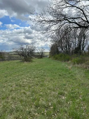Grundstück kaufen in Neusiedl am See – 4 685 m², € 69.000 – Bild 4 von 24