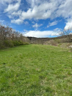 Grundstück kaufen in Neusiedl am See – 4 685 m², € 69.000 – Bild 18 von 24