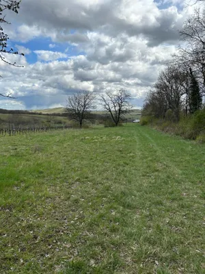 Grundstück kaufen in Neusiedl am See – 4 685 m², € 69.000 – Bild 8 von 24