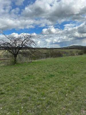 Grundstück kaufen in Neusiedl am See – 4 685 m², € 69.000 – Bild 12 von 24
