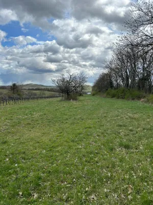Grundstück kaufen in Neusiedl am See – 4 685 m², € 69.000 – Bild 2 von 24