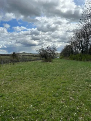 Grundstück kaufen in Neusiedl am See – 4 685 m², € 69.000 – Bild 20 von 24