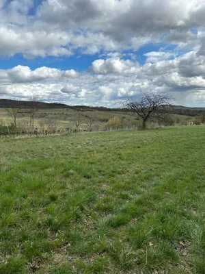 Grundstück kaufen in Neusiedl am See – 4 685 m², € 69.000 – Bild 10 von 24