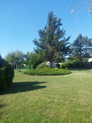 Grundstück kaufen in Neusiedl am See – 1 300 m², € 240.500 – Bild 1 von 2