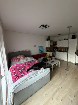 1-Zimmer-Wohnung mieten in Klagenfurt – 35 m², € 635 – Bild 13 von 19