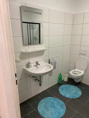 1-Zimmer-Wohnung mieten in Vöcklabruck – 14 m², € 400 – Bild 5 von 9