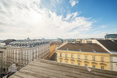 6-Zimmer-Wohnung kaufen in Wien – 223,11 m², € 4.500.000 – Bild 35 von 43