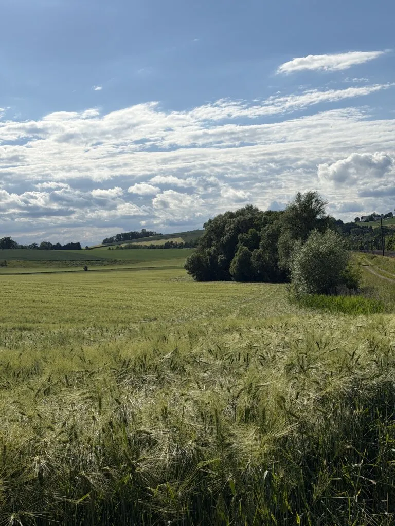 Wohnung – Taufkirchen an der Pram, Furth - Ansicht 2