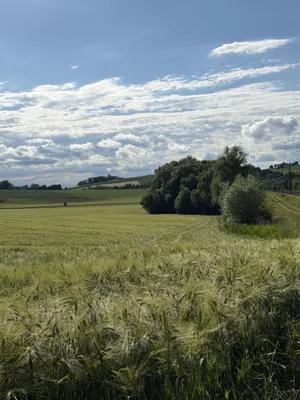 Immobilie kaufen in Schärding – 83 562 m², € 880.000 – Bild 3 von 5