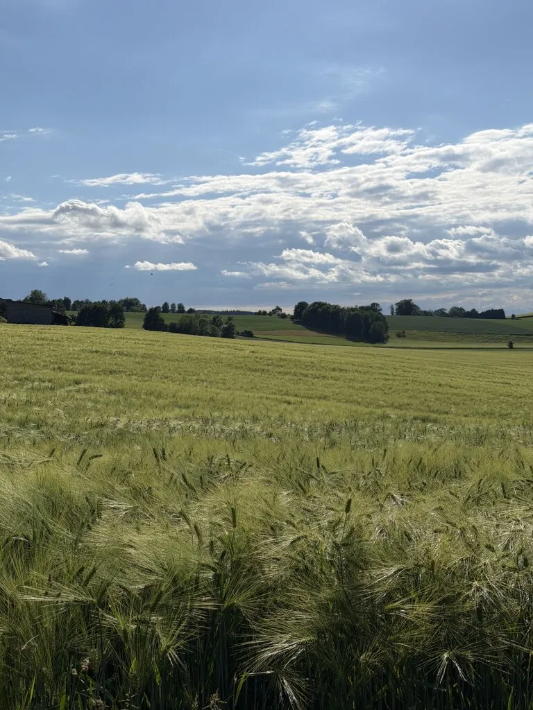 Wohnung – Taufkirchen an der Pram, Furth - Ansicht 3