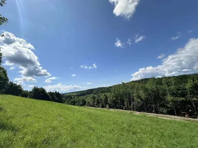 Grundstück kaufen in Deutschlandsberg – 8 697 m², € 869.000 – Bild 6 von 10