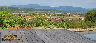 5-Zimmer-Haus kaufen in Weiz – 131 m², € 750.000 – Bild 5 von 19