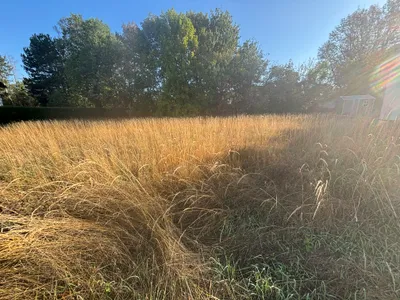 Grundstück kaufen in Wels-Land – 781 m², € 400.000 – Bild 2 von 4