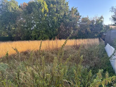 Grundstück kaufen in Wels-Land – 781 m², € 400.000