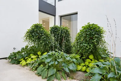12-Zimmer-Haus kaufen in Klagenfurt Land – 800 m², € 5.950.000 – Bild 7 von 25