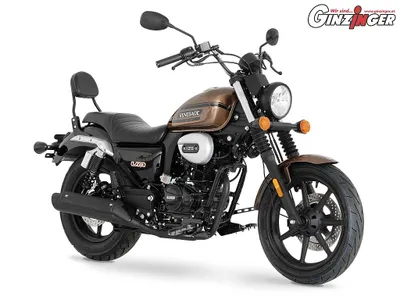 UM Renegade Sport 125 Aktion