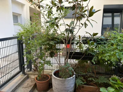 3-Zimmer-Wohnung kaufen in Wien – 66 m², € 459.000 – Bild 26 von 28