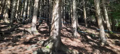 Grundstück kaufen in Bruck-Mürzzuschlag – 13 437 m², € 134.370 – Bild 2 von 4
