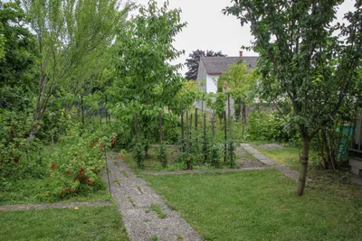 Haus kaufen in Neusiedl am See – 248 m², € 750.000 – Bild 4 von 31