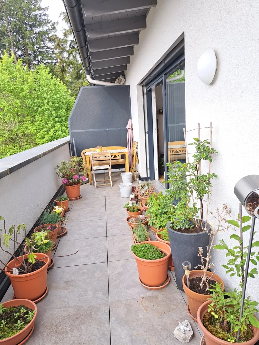 2 Zimmer Wohnung in Stadtplatznähe zu vermieten - Ansicht 3
