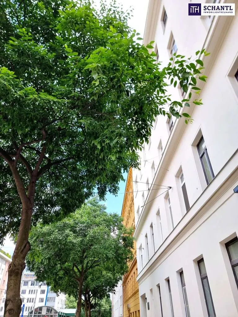 Wo Geschichte auf Design trifft! TOP Preis - Super nice! Mitten im Geschehen! U-Bahn ums Eck + Traumhaft renoviertes Altbauhaus + TOP Altbauwohnung + Optimalste Infrastruktur und Anbindung! Worauf w - Ansicht 3