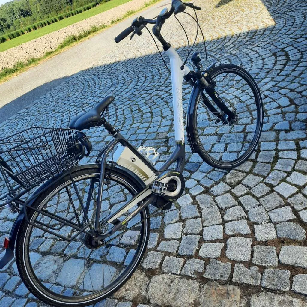 sonnenverdeck fahrradanhänger Qeridoo Kidgoo 2 Lite Ivy Green | Fahrrad Anhänger 2 Kinder | Fahrradanhänger 2 Kinder | 2-in-1 Fahrrad Anhänger & Buggy | 3-in-1- Verdeck Marmorkuchen - FAQs cr450 Größe:2.36 x 0.86 [m]