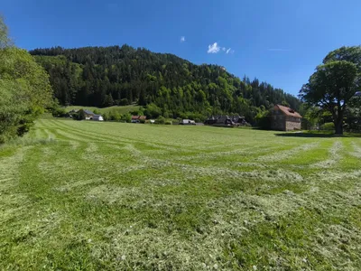 Grundstück kaufen in Murau – 9 220 m², € 42 – Bild 4 von 4