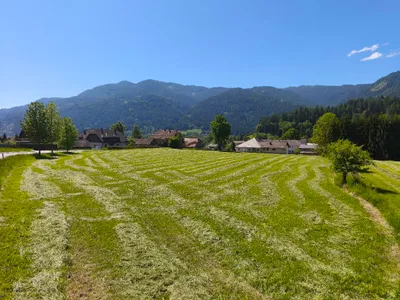 Grundstück kaufen in Murau – 9 220 m², € 42 – Bild 3 von 4