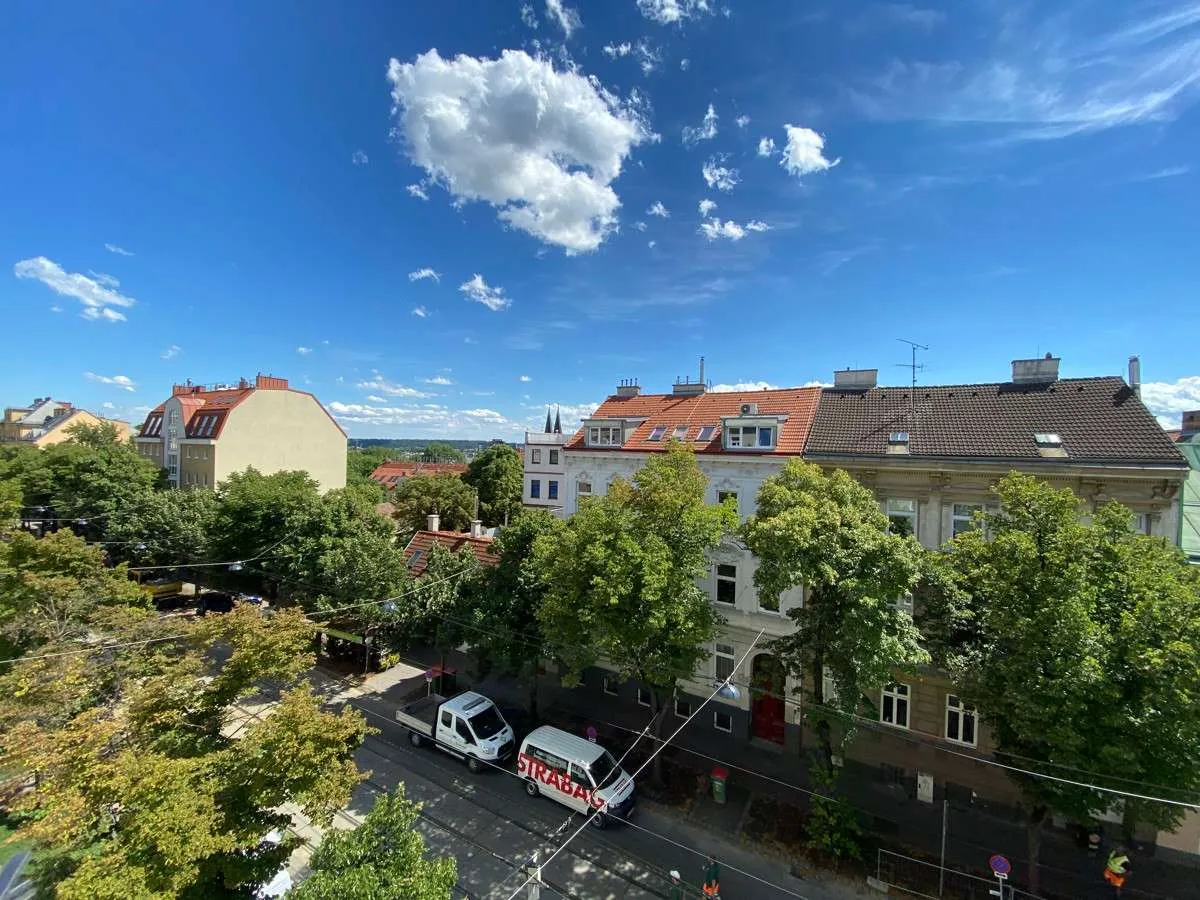 Südseitige, renovierungsbedürftige Altbauwohnung Nähe Pachmanngasse - Widok 3