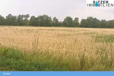 Grundstück kaufen in Gänserndorf – 13 764 m² – Bild 2 von 4
