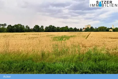 Grundstück kaufen in Gänserndorf – 13 764 m² – Bild 3 von 4