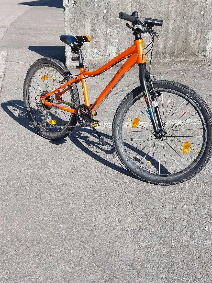 bulls oder cube fahrrad Sonic Evo TR3 29 Zoll E-Mountainbike Generalüberholt aus zweiter Hand E-Mountainbike – H&B Exclusive Rahmenfarbe:Schwarz Bulls Wildtail-1 2021 26 Cat_Lvl_3: Kinderräder