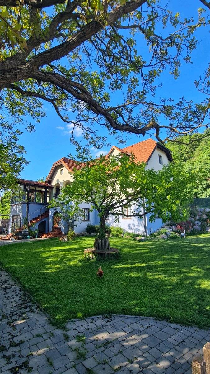 HAUS in Donnerskirchen Privatverkauf, Donnerskirchen