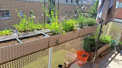 2-Zimmer-Wohnung mieten in Melk – 75 m², € 696 – Bild 5 von 12
