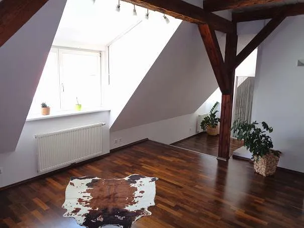 Apartment in Graz, Katastralgemeinde Innere Stadt, Innere Stadt - Ansicht 3