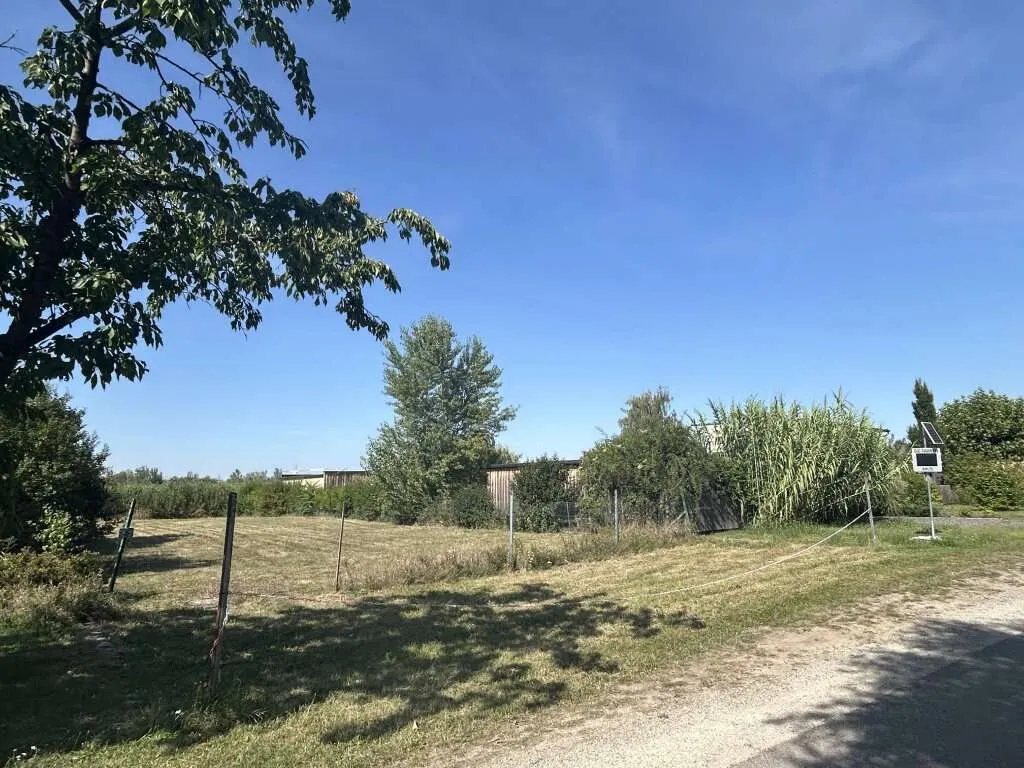 Exklusives Grundstück im Seerefugium Neusiedl am See zu verkaufen! - Ansicht 2