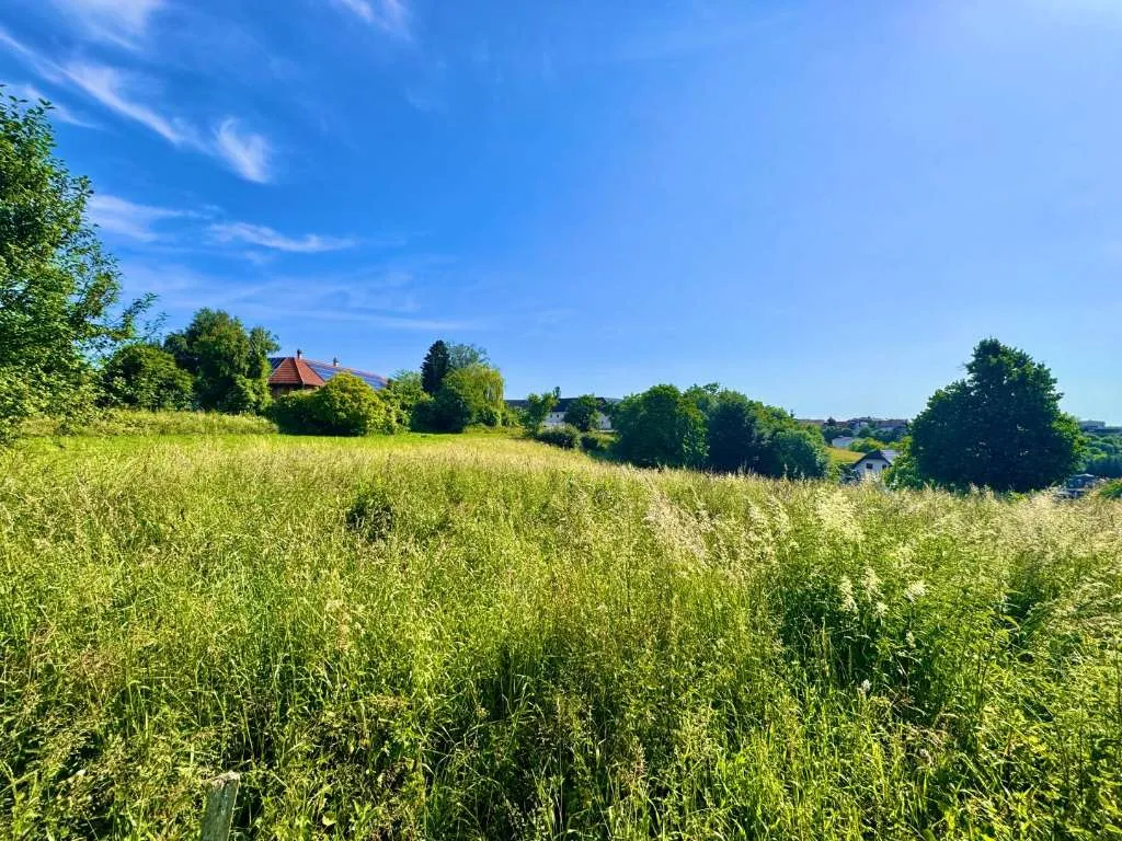 ON TOP Grundstück in Aussichtslage *1003 m² - Ansicht 2