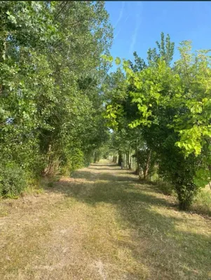 Grundstück kaufen in Baden – 60 000 m², € 2.950.000 – Bild 6 von 19