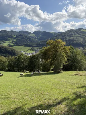8-Zimmer-Grundstück kaufen in Scheibbs – 170 m², € 650.000 – Bild 50 von 59