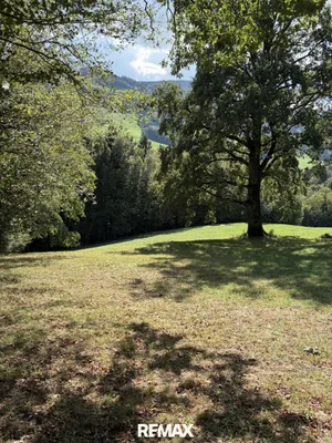 8-Zimmer-Grundstück kaufen in Scheibbs – 170 m², € 650.000 – Bild 52 von 59