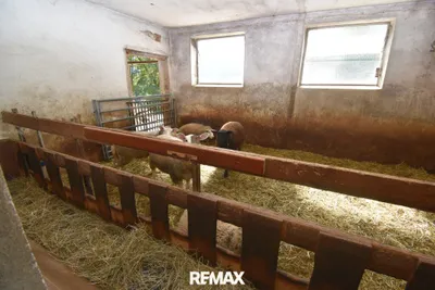 8-Zimmer-Grundstück kaufen in Scheibbs – 170 m², € 650.000 – Bild 24 von 59