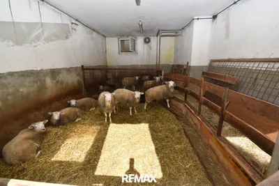 8-Zimmer-Grundstück kaufen in Scheibbs – 170 m², € 650.000 – Bild 33 von 59