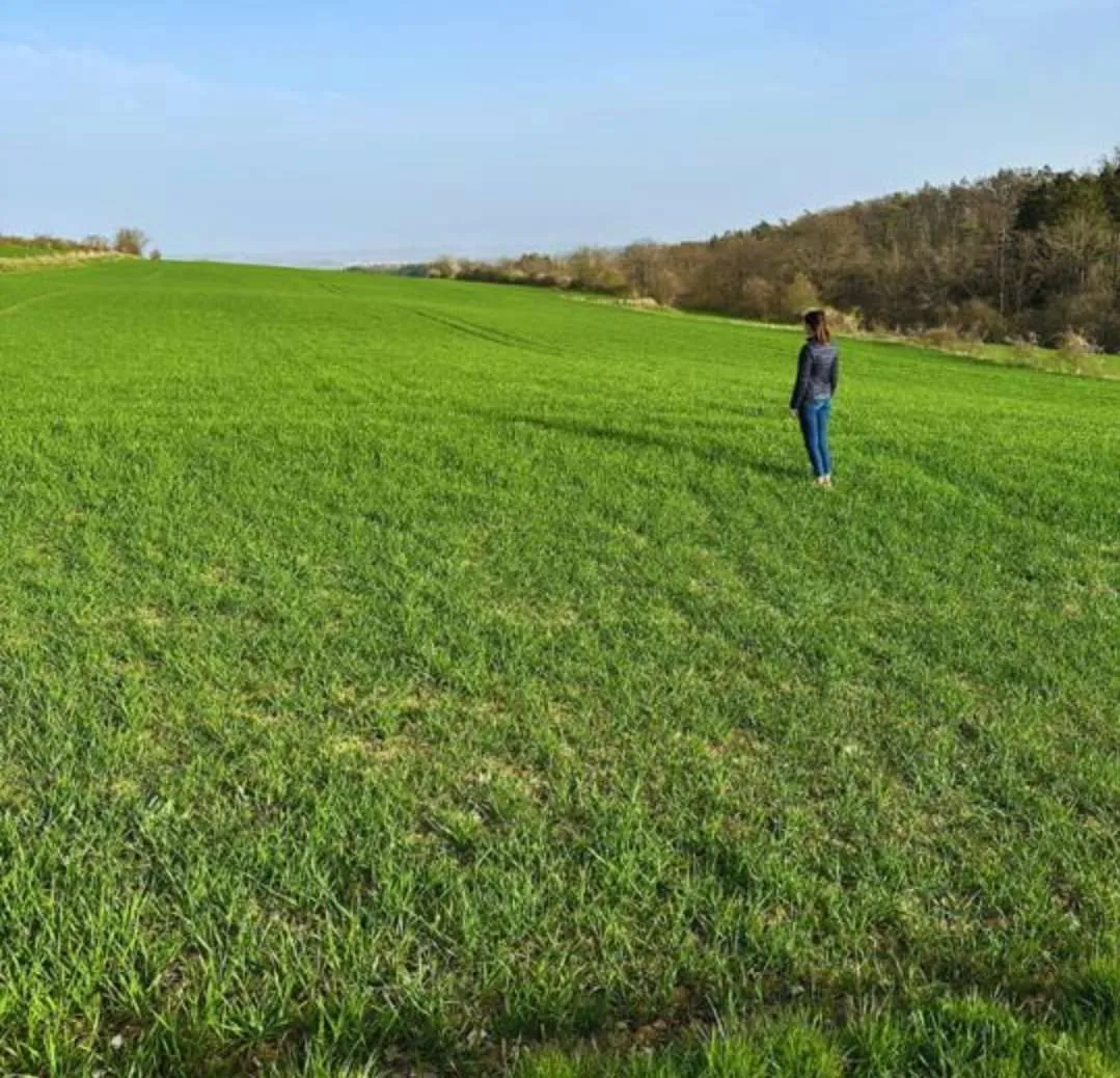 Ackerland, Landwirtschaft, 94000 m², € 5,65, (3580 Poigen) - willhaben