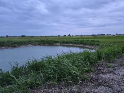 Grundstück kaufen in Neusiedl am See – 15 306 m², € 57.000 – Bild 2 von 3