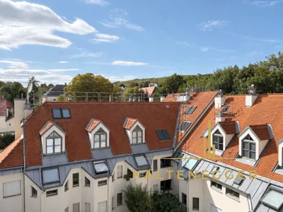 Gewerbeimmobilie mieten in Wien – 213 m², € 2.906 – Bild 4 von 15